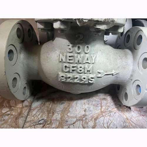 شیر فلکه 2 اینچ کلاس 300 نیووی neway